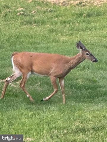 1870 GENERAL POTTER HWY, Centre Hall, PA 16828