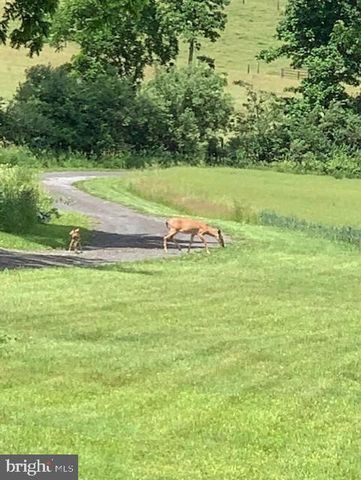 1870 GENERAL POTTER HWY, Centre Hall, PA 16828