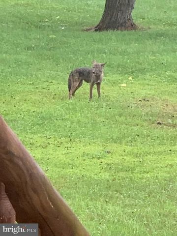 1870 GENERAL POTTER HWY, Centre Hall, PA 16828