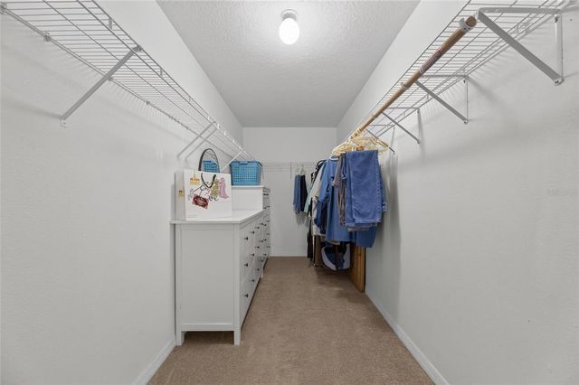 13007 OAKMONT WOOD COURT, Riverview, FL 33579