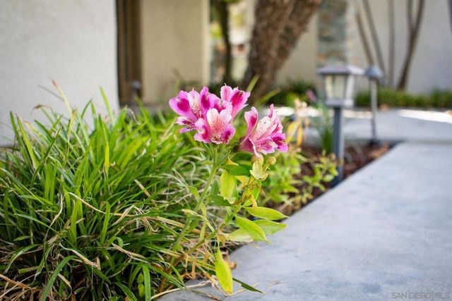 4505 Palo Verde Terrace, San Diego, CA 92115
