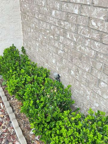 812 Santa Anna Drive, Alamo, TX 78516