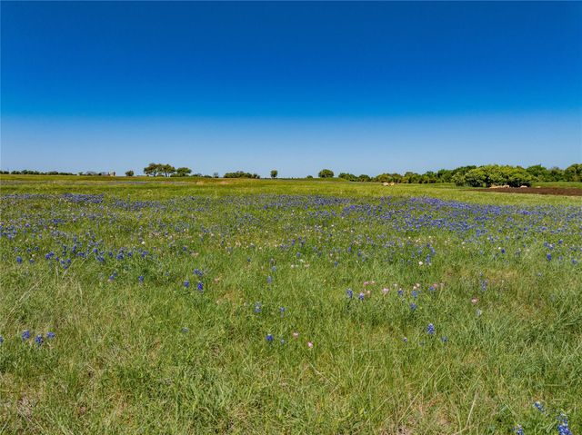 TBD W Fm 1291 Tract 4, Round Top, TX 78954