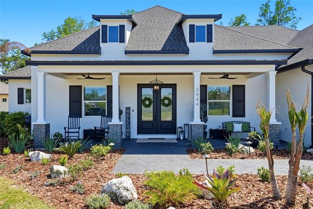 3944 COVE LAKE PLACE, Land O Lakes, FL 34639