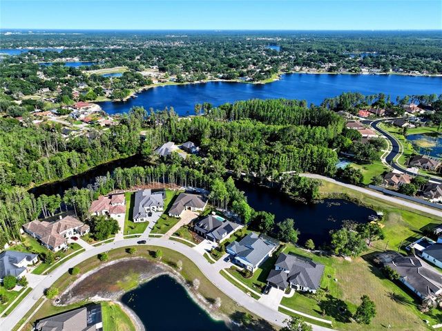 3944 COVE LAKE PLACE, Land O Lakes, FL 34639