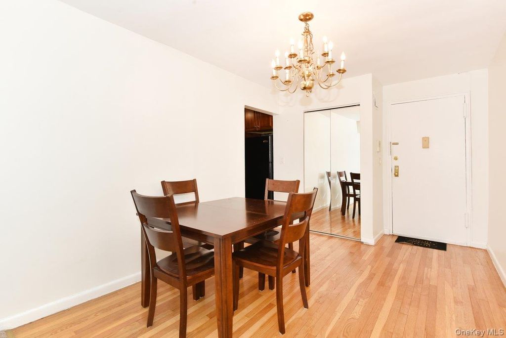 3 Birchwood Court 4B, Mineola, NY 11501 — photo 4