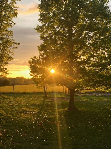 322 Shun Pike, Cottontown, TN 37048