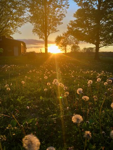 322 Shun Pike, Cottontown, TN 37048