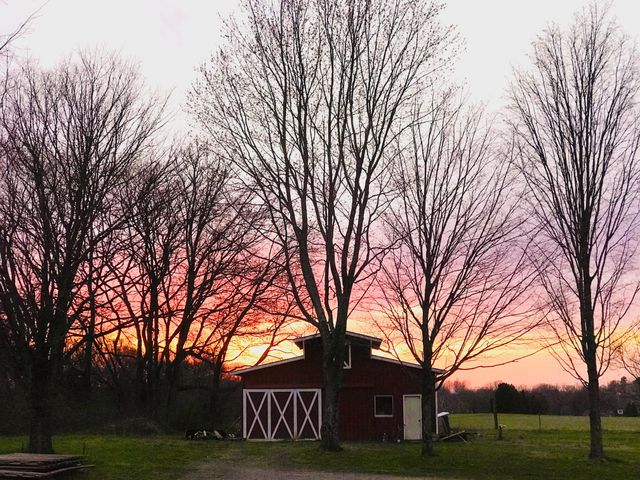 322 Shun Pike, Cottontown, TN 37048