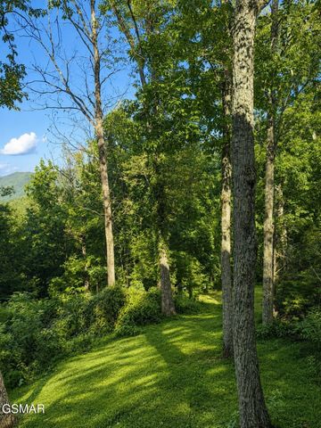 3085 Perry Circle Road, Sevierville, TN 37862