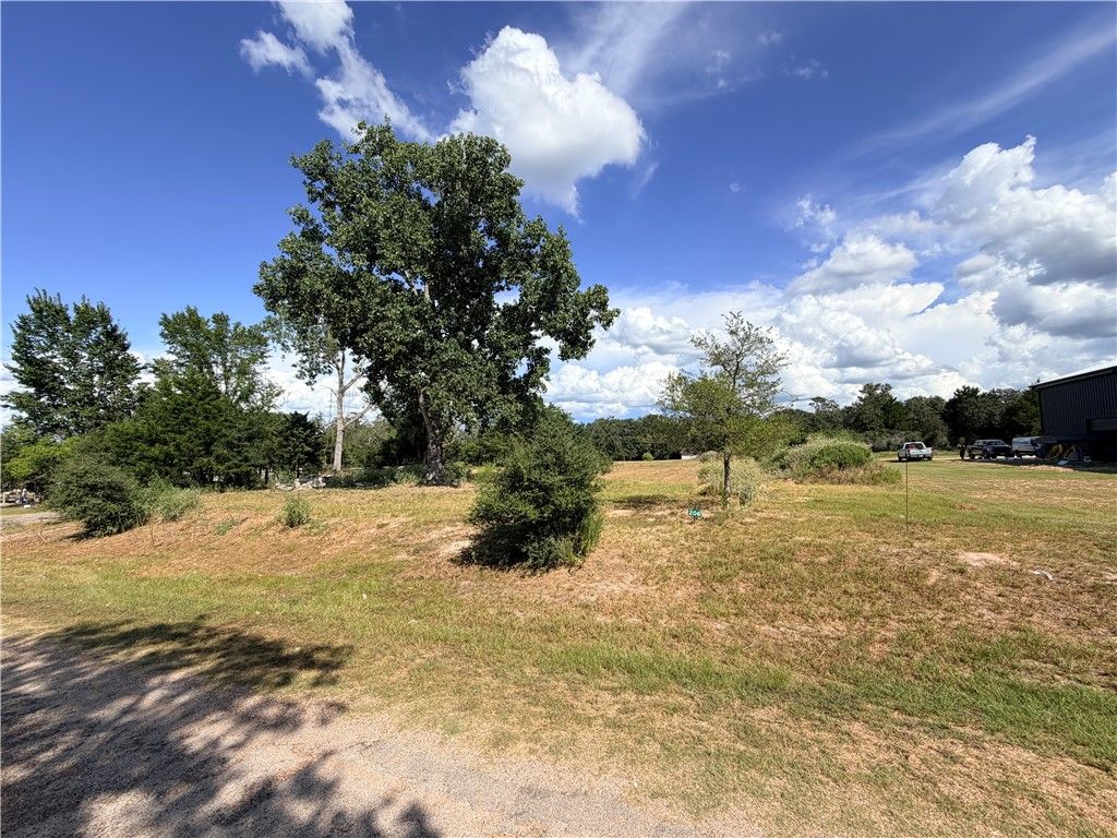 206 Northwood Drive, Somerville, TX 77879 — photo 3