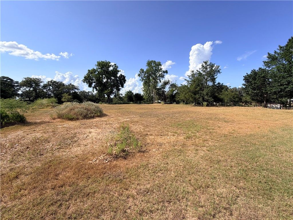 206 Northwood Drive, Somerville, TX 77879 — photo 4