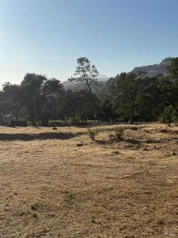 962 Sanitarium Rd, Deer Park, CA 94576