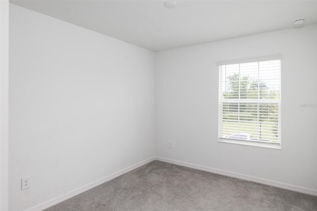 10989 WISHING CLOUD ROAD, Land O Lakes, FL 34638