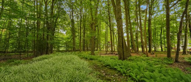 155 Summer Wind, Park Twp, MI 49424