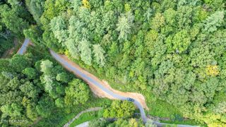 740 Johns Creek Rd, Del Rio, TN 37727