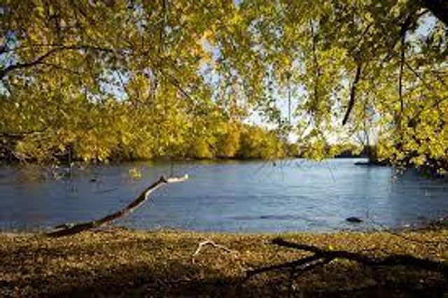 14985 Riverview Lane N, Dayton, MN 55327