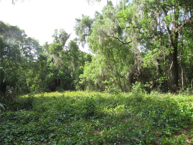 OAK VALLEY DRIVE, Deland, FL 32720