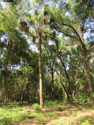 OAK VALLEY DRIVE, Deland, FL 32720