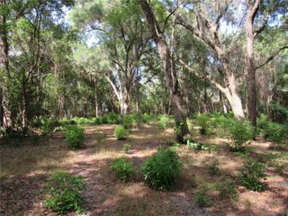 OAK VALLEY DRIVE, Deland, FL 32720