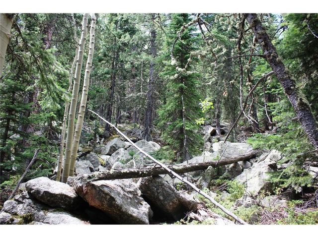 0 Hidden Wilderness Rd, Idaho Springs, CO 80452