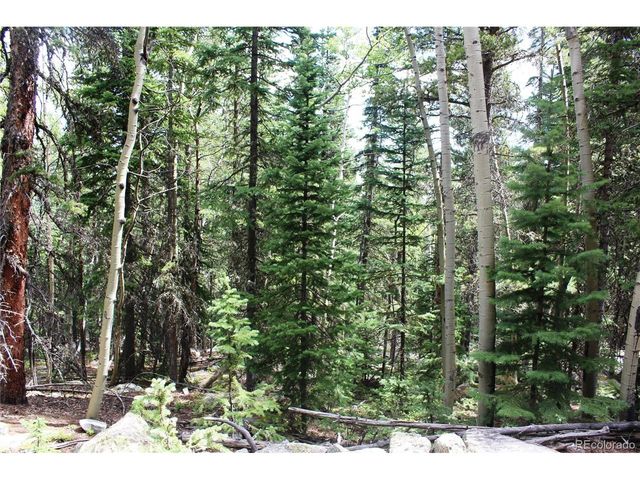 0 Hidden Wilderness Rd, Idaho Springs, CO 80452