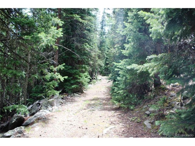 0 Hidden Wilderness Rd, Idaho Springs, CO 80452