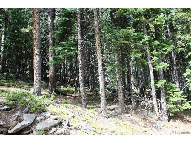0 Hidden Wilderness Rd, Idaho Springs, CO 80452