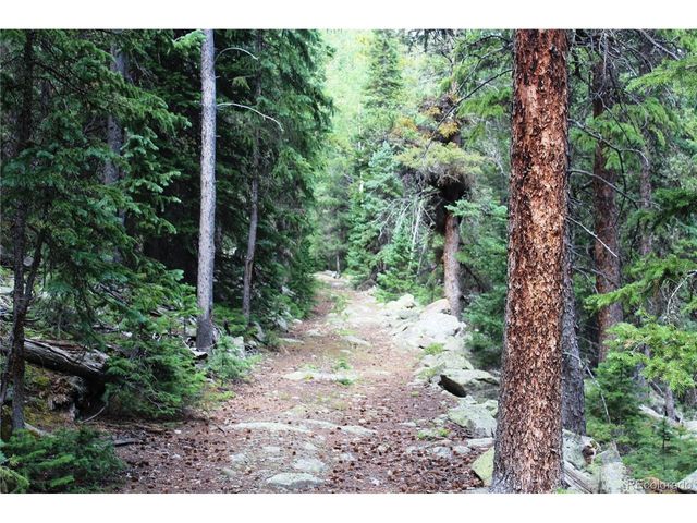 0 Hidden Wilderness Rd, Idaho Springs, CO 80452