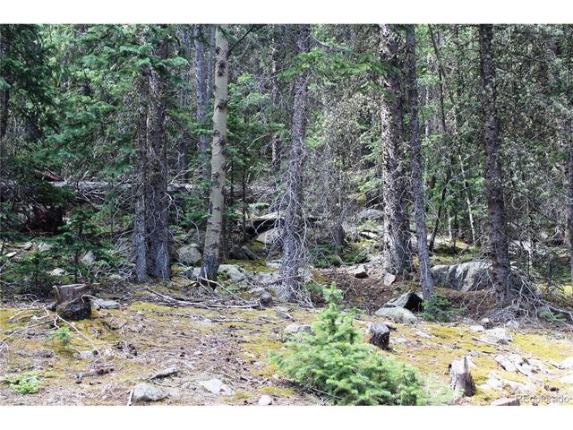 0 Hidden Wilderness Rd, Idaho Springs, CO 80452