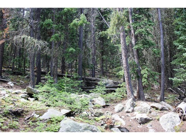 0 Hidden Wilderness Rd, Idaho Springs, CO 80452