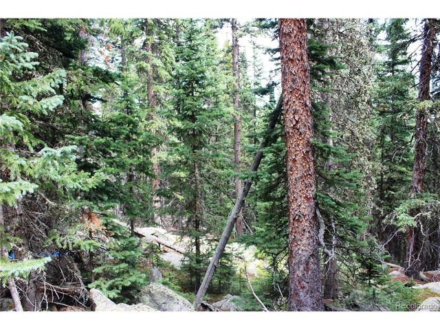 0 Hidden Wilderness Rd, Idaho Springs, CO 80452