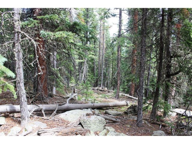 0 Hidden Wilderness Rd, Idaho Springs, CO 80452