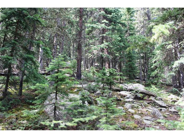 0 Hidden Wilderness Rd, Idaho Springs, CO 80452