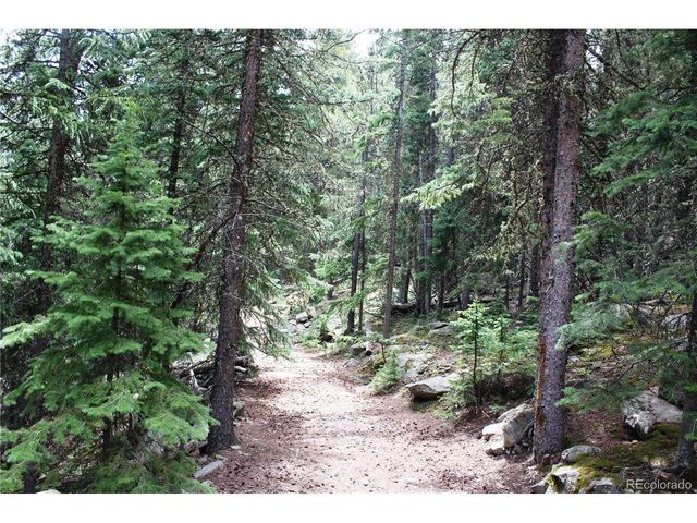 0 Hidden Wilderness Rd, Idaho Springs, CO 80452