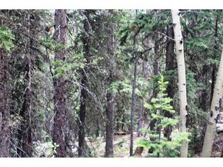 0 Hidden Wilderness Rd, Idaho Springs, CO 80452