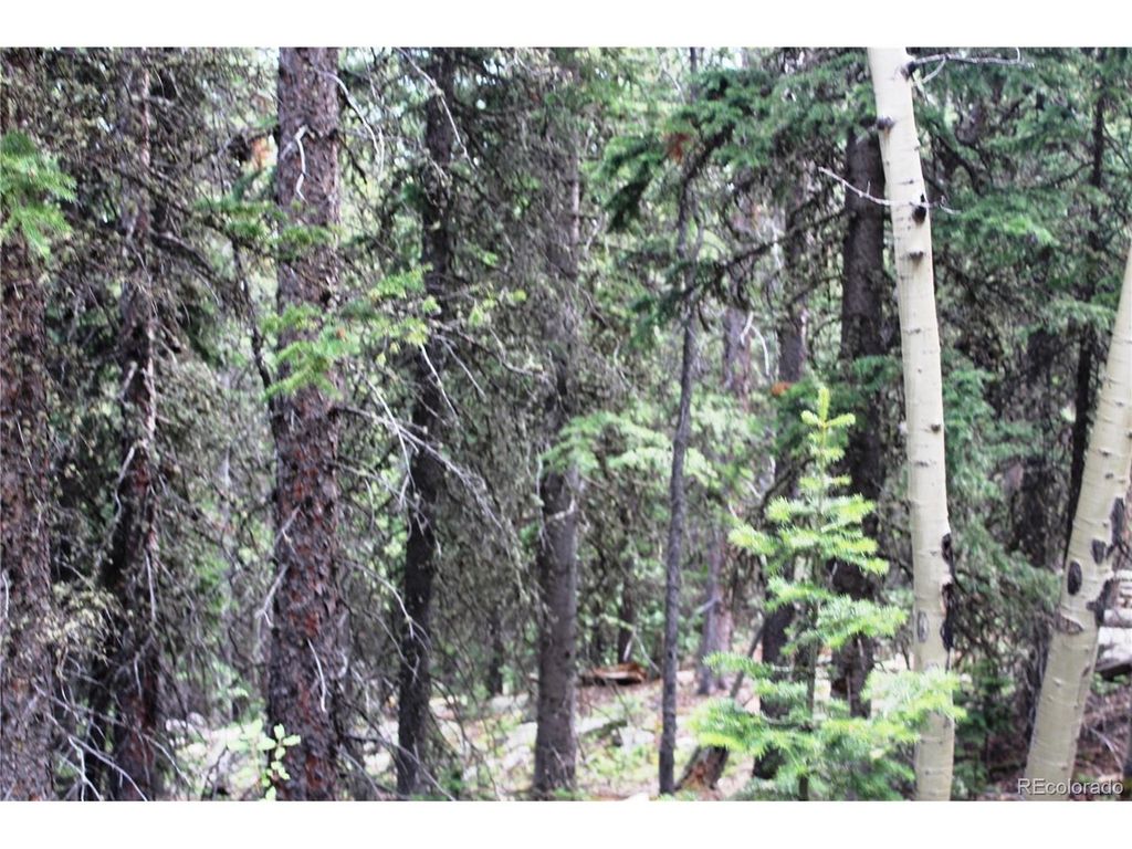 0 Hidden Wilderness Rd, Idaho Springs, CO 80452