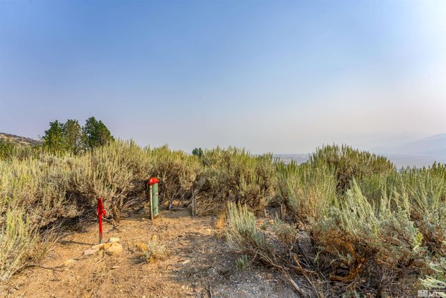 7595 Service Berry Road, Washoe Valley, NV 89704