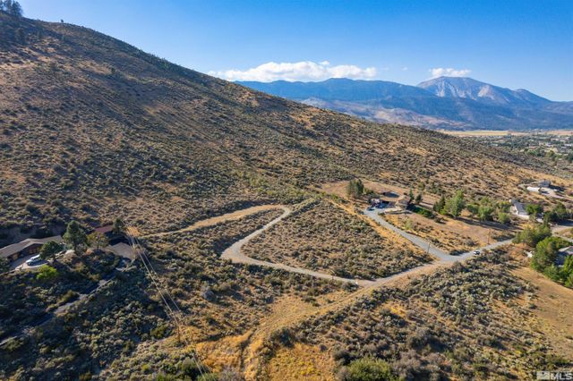 7595 Service Berry Road, Washoe Valley, NV 89704