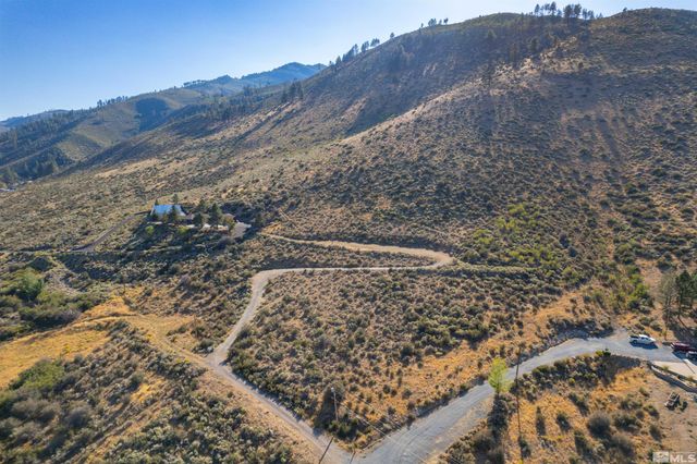 7595 Service Berry Road, Washoe Valley, NV 89704