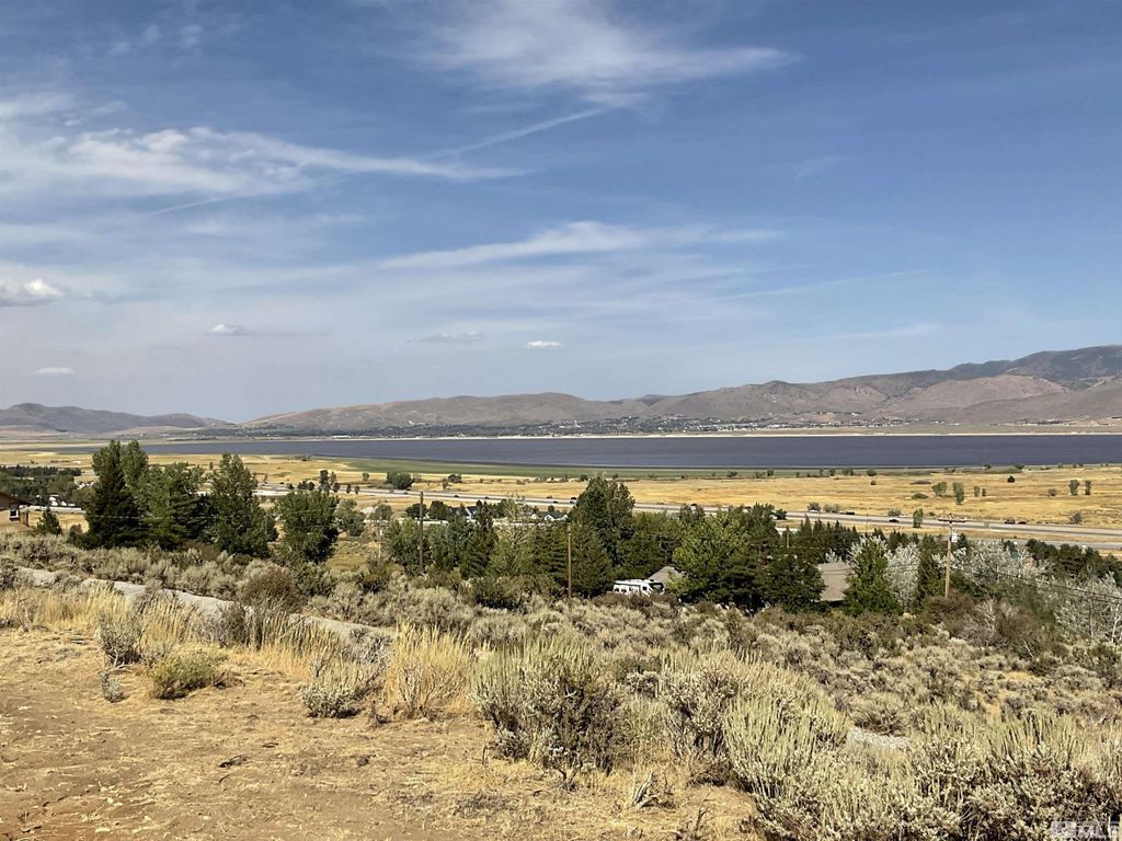 7595 Service Berry Road, Washoe Valley, NV 89704