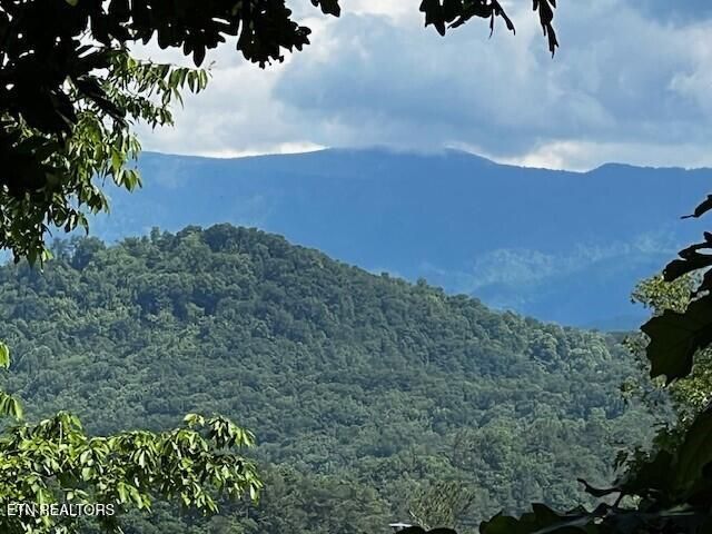 - Chinquapin Drive, Sevierville, TN 37862