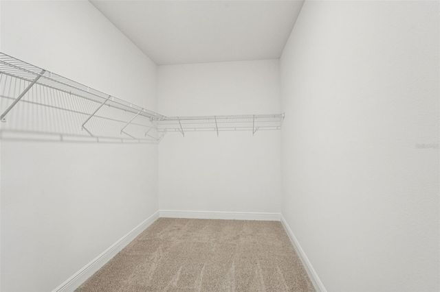 2154 WILDBERRY WAY, Minneola, FL 34715