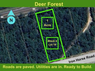 323 Iron Horse Road, Willis, TX 77378