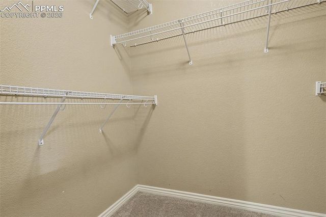 2703 Crooked Vine Court, Colorado Springs, CO 80921