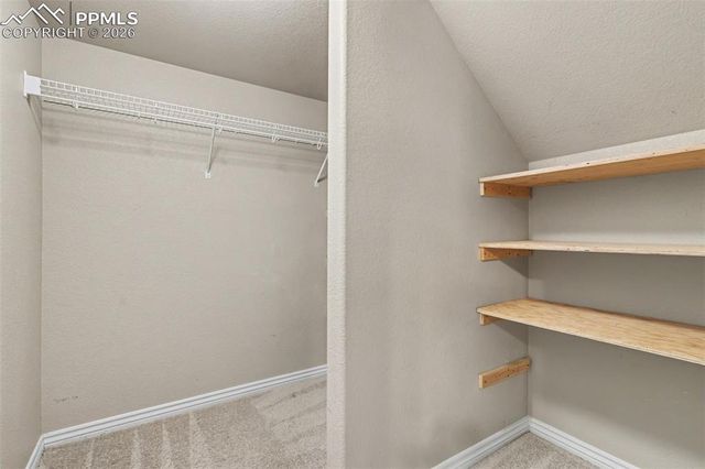 2703 Crooked Vine Court, Colorado Springs, CO 80921