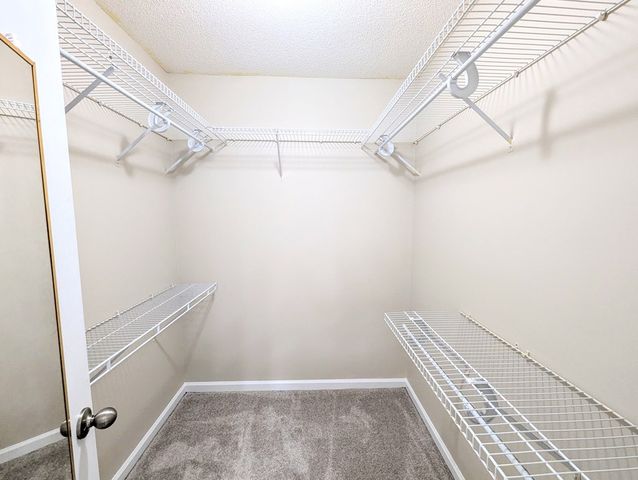 3117 Holland Road, Newton, AL 36352