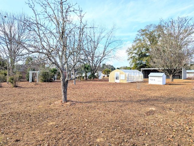 3117 Holland Road, Newton, AL 36352