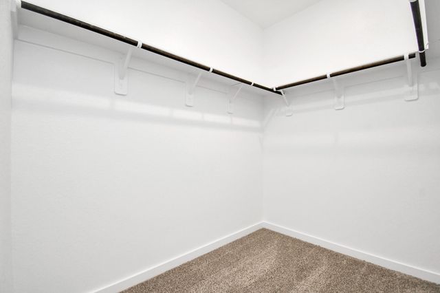 17129 White Acer Way, Houston, TX 77084
