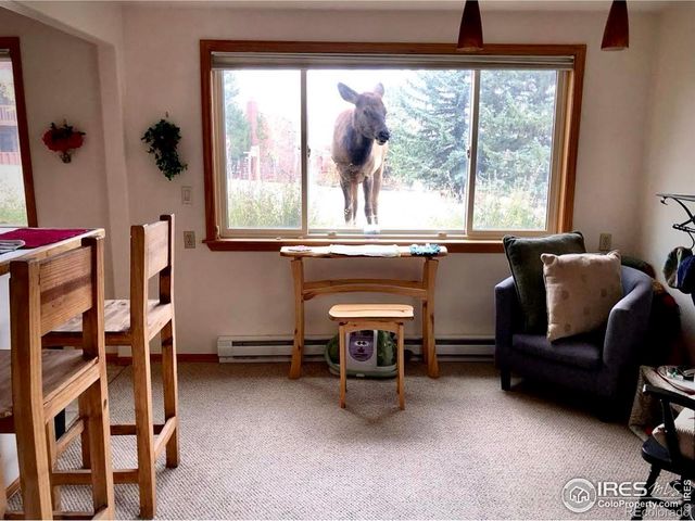 1111 Fairway Club Circle 4, Estes Park, CO 80517